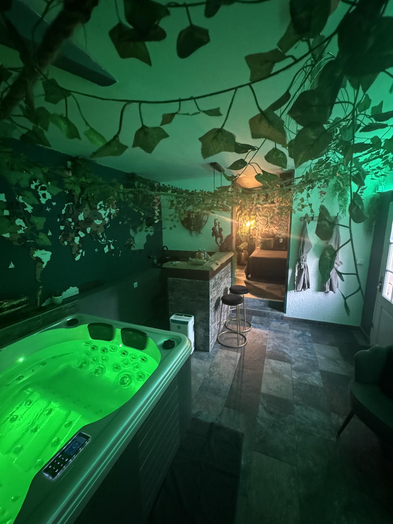 chambre d hote jacuzzi privatif marseille